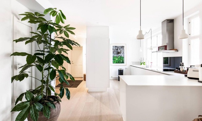 Copenhagen City Centre Apartment | Dinesen Collection Condo by Royal Theatre