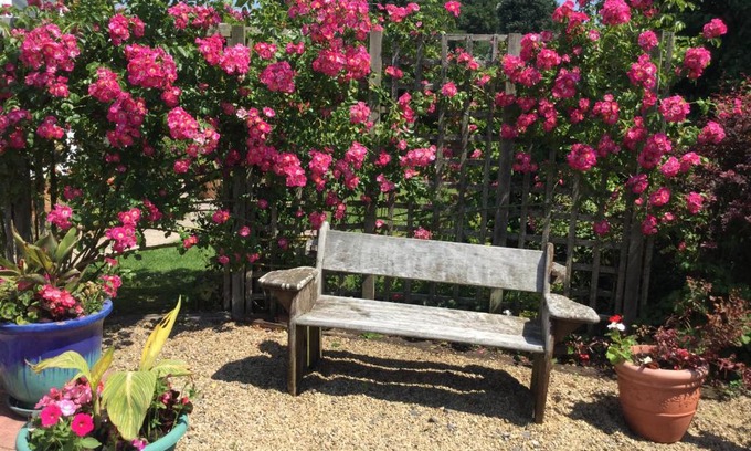 Pewsey Bed & Breakfast | Disabled friendly BnB with gorgeous garden