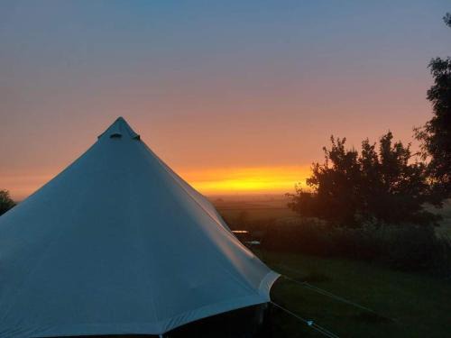 Newark Other | Disco tent secret garden glamping