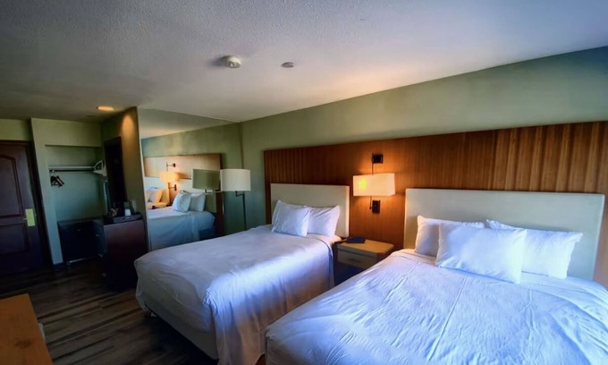 Mount Charleston Hotel | Discover Nature’s Beauty – Free Parking, Pet-Friendly, and All-Season Fun