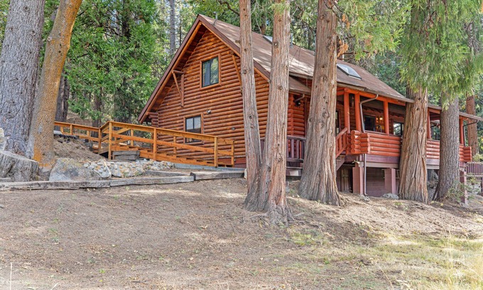 Pine Cove Cabin | Dog-friendly cabin in the woods with WiFi, wood stove, and private washer/dryer