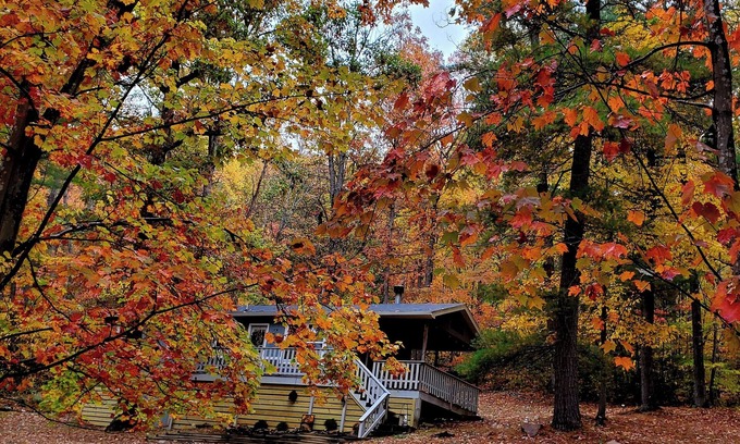 Hinton Cabin | Dog friendly cabin. Peaceful nature getaway.