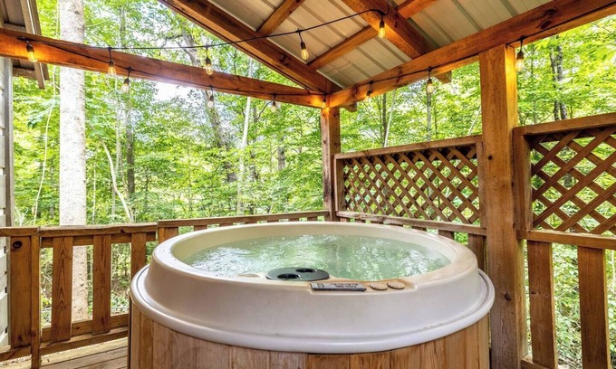 Townsend Cabin | Dog-Friendly Getaway, Adventure Awaits Nearby