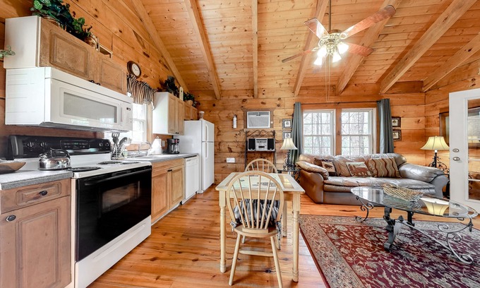 Sautee Nacoochee Cabin | Dog-friendly log cabin w/hot tub, screened-in deck & heart-shaped jetted tub