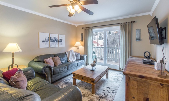 Ouray House | Dog Friendly-Overlooking River-Next to Ouray Hot Springs-Fiber Optic WiFi