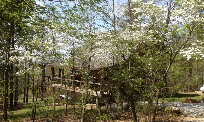 Jasper Cabin | Dogwood Cabin, Deer Lodge Cabin Rentals is a Secluded Ozark Mountain Log Cabin