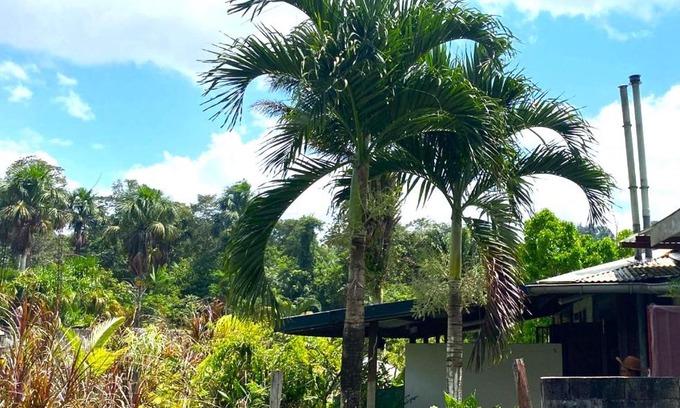 Les Hattes House | Dolce Vita Kreyol