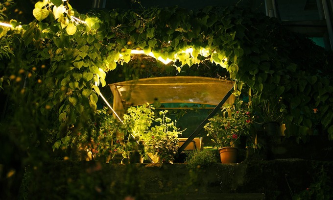 Vattakanal Bed & Breakfast | Dolphin Nose Retreat