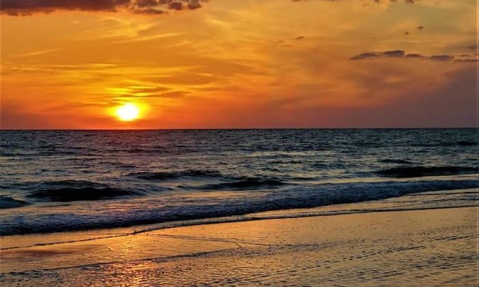 Indian Shores House | Dolphin Watch