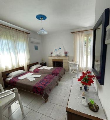 Paralia Agias Fotinis Apartment | Dolphins