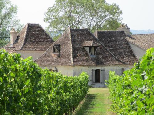 Boisse House | Domaine de Fumel Le Chai