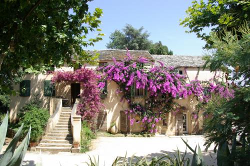 Sorbo-Ocagnano Bed & Breakfast | Domaine de Valle