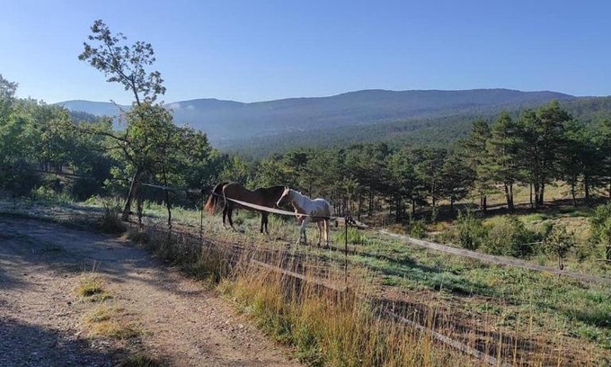 Trigance House | Domaine du Cruvelet Grand gite