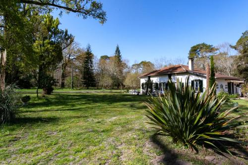 Aureilhan House | Domaine forestier Darricau au bord du lac, 12 min de l'océan