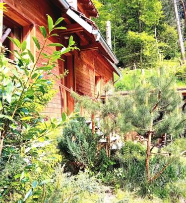 Soultzeren Ski Chalet | Domaine les lodges nature ,private wellness