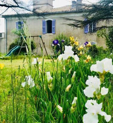 Sauve Hotel | Domaine Mas Pigné