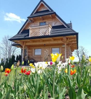 Poronin Villa | Domek Na Góralską Mode