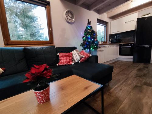 Swornegacie Ski Chalet | Domek Sworne Zacisze