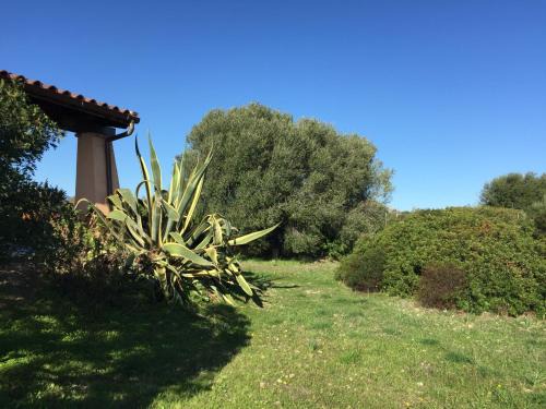 Orosei House | Domo Giulia