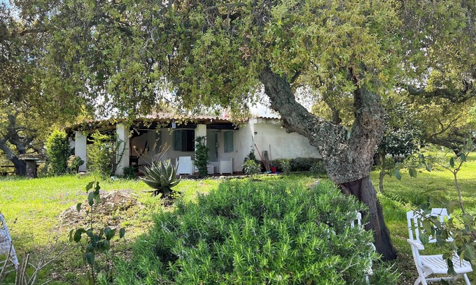 Nulvi Other | DOMO MEA beautiful farmhouse immersed in theSardinian countryside an its animals