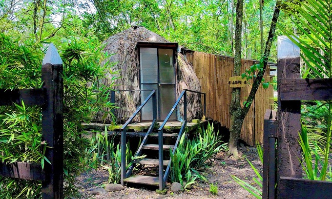 Utica House | "Domo Nativo: Adventure and Relaxation in the Heart of the Forest".
