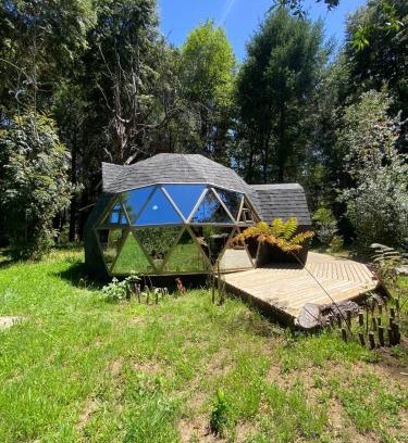 Pucon House | domos llafenco