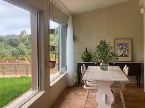 Villaggio delle Mimose House | Domu Tostoina 2