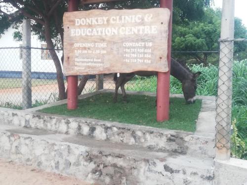 Mannar House | Donkey clinic and education center