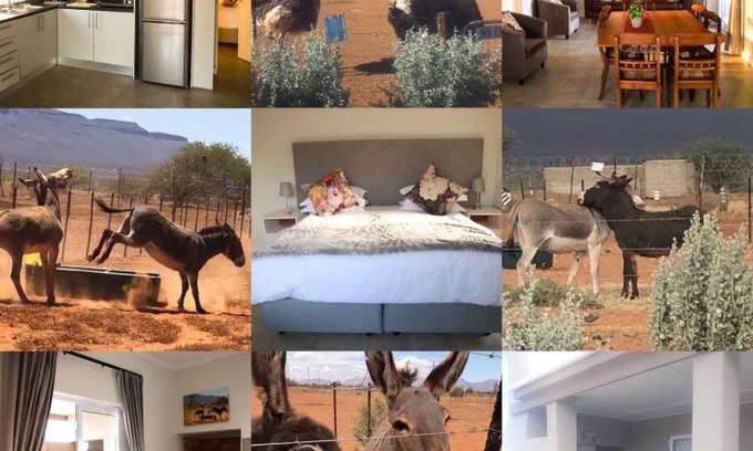 Calvinia House | Donkieshoek Accommodation & Campsite, Calvinia