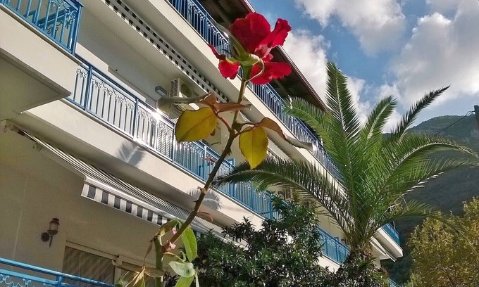 Kamena Vourla House | DOUBLE ROOM IN A HOTEL 3Sterne