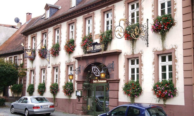 Michelstadt Hotel | Double Room, Room 22 - Hotel-Restaurant Drei Hasen