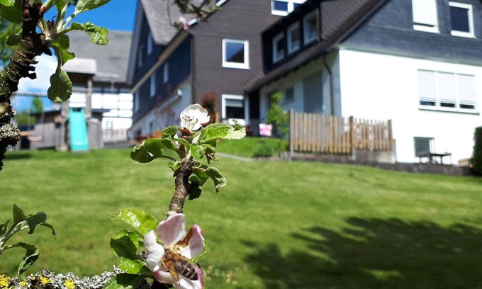 Grafschaft Apartment | Double room with view, 35sqm, max. 2 adults