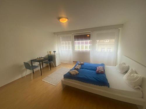 Lucerne Apartment | Downtown Flats, Lake Lucerne