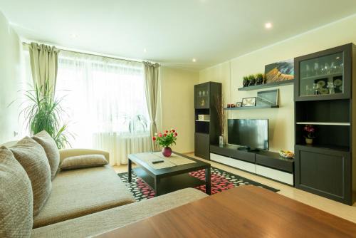 Druskininkai Apartment | Du draugai 1