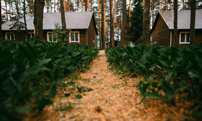 Vitebsk Region Ski Chalet | Duck Lake