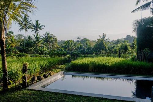 Payangan Villa | Dukuh Ubud Villa #4 Ricefield View