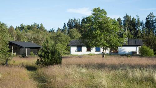 Frostrup House | Dune House Near Bulbjerg