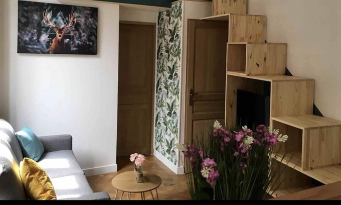 Besancon Old Town Apartment | Duplex Victor Hugo
