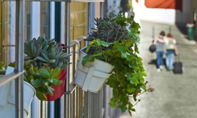 Sacramento Apartment | Duque's Apartments - Chiado 19084/AL