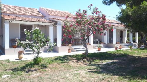 Notos Apartment | E & K Sea View Apartments Urlaub mit Ausblick Entspannung direkt am Meer