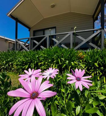 Sutton Resort | Eaglehawk Park Canberra