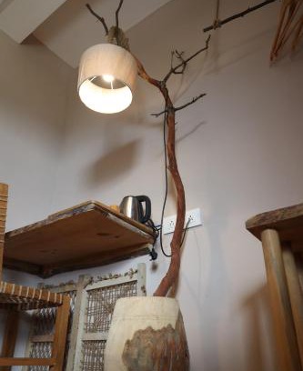 Kaul House | Earthy room