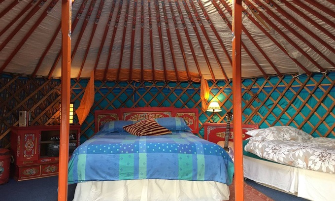 Whitegate House | Eco Glamping immersed in nature, ideal for family holidays and romantic getaways