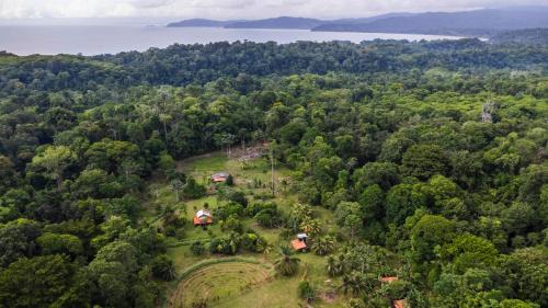 Drake Bay House | Eco Lodge&Farm Rustic Roots Reserve