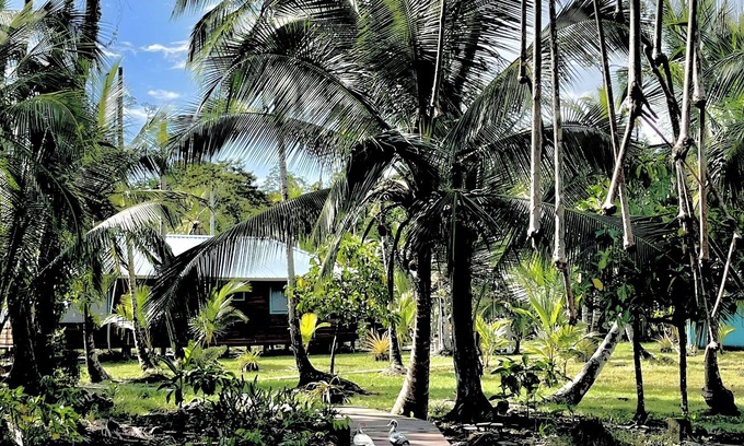Tierra Oscura House | Eco Lodge La Casa de los Loros