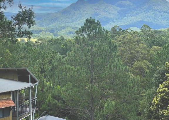 Smiths Creek Cabin | EcOasis