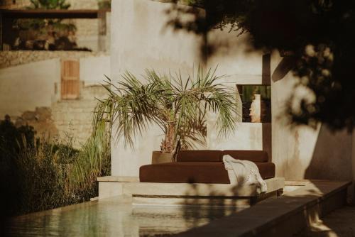 Arico el Nuevo Villa | Ecohotel El Agua