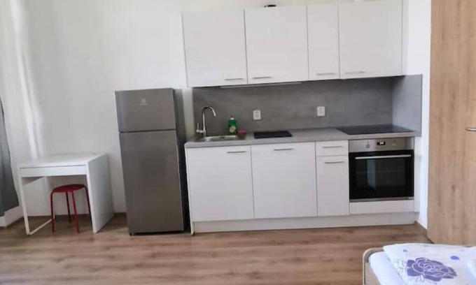 Petrska ctvrt Apartment | Economic group apartment with single beds