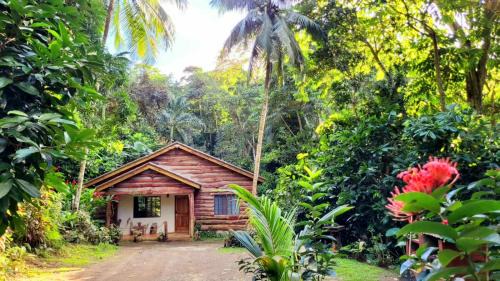 Mammee Bay House | Ecoscape Jamaica - Cottages by the river
