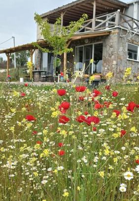 Ayvacik House | Egedebirnefes Assos